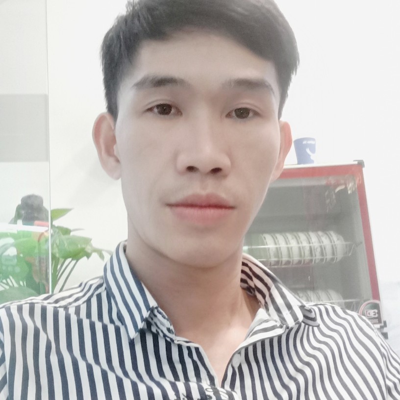 小海豚美丽的照片