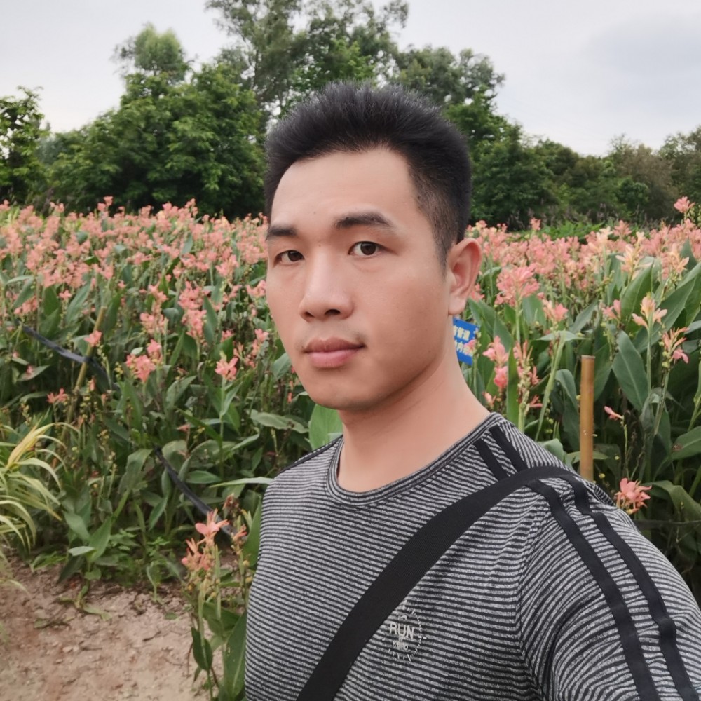 ：随风飞扬：的照片