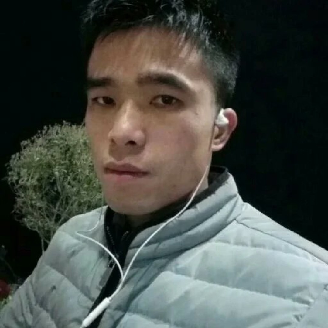 迅速拿仙人掌的照片