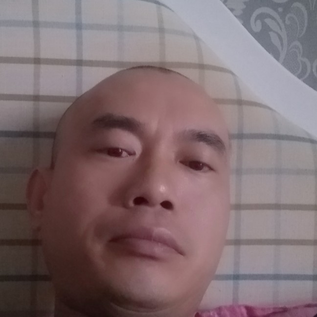 舒心向晨曦的照片