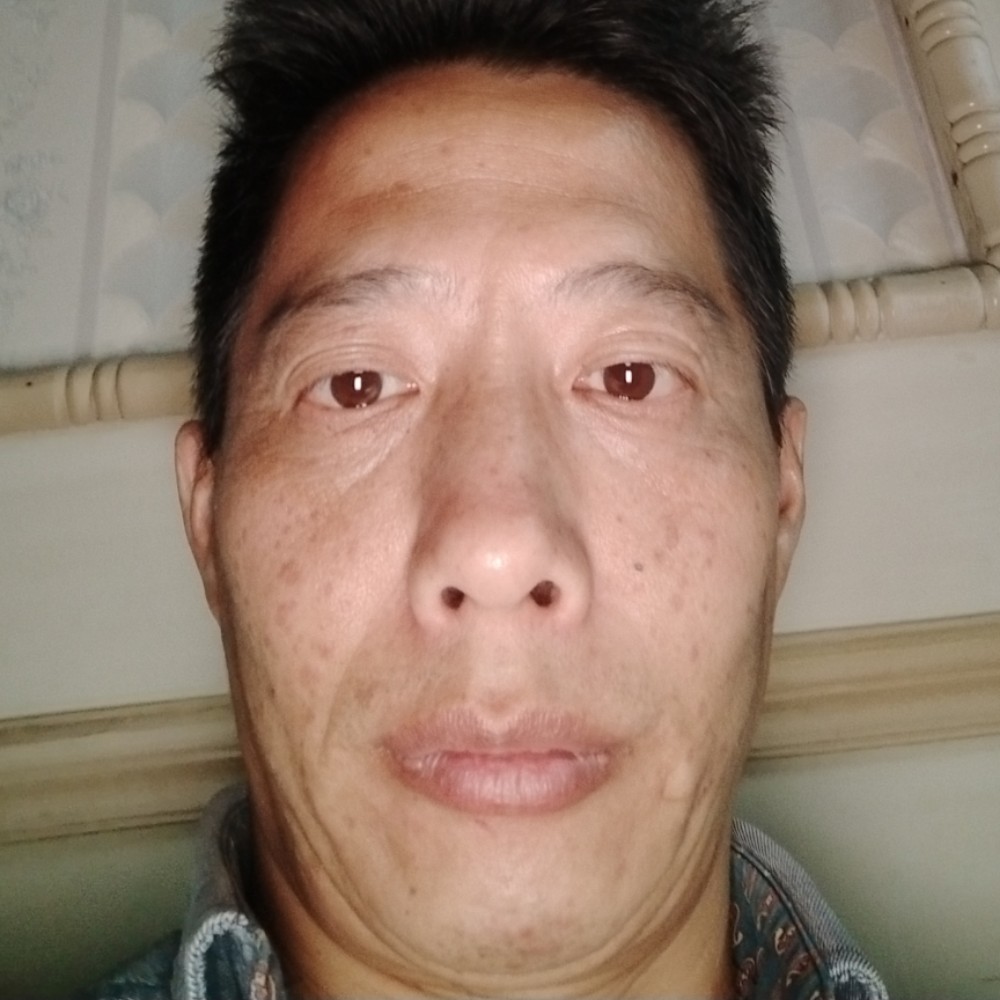 书本大胆的照片