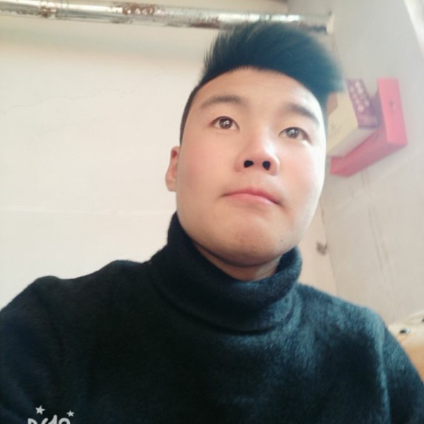 彪壮大象的照片