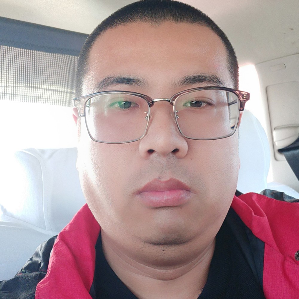 树叶清秀的照片
