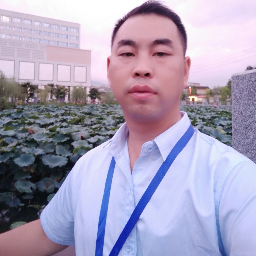 菠萝吃醋彼年的照片