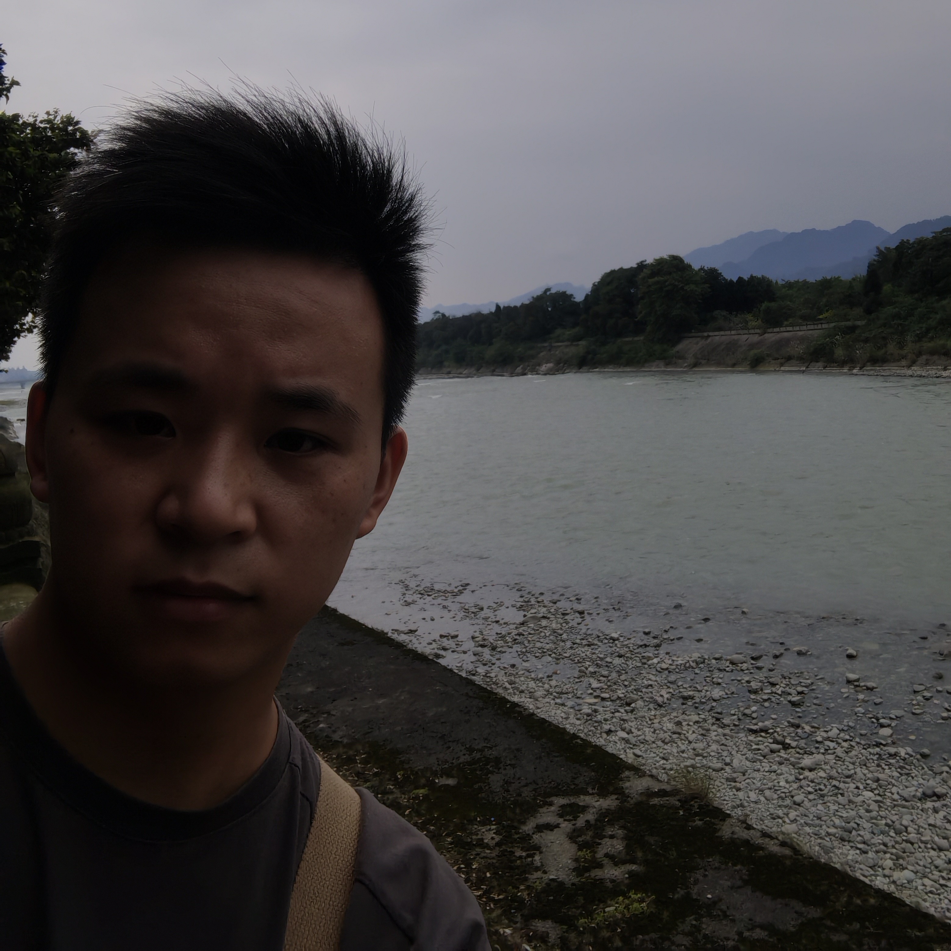 透彻凝眸鼠标的照片