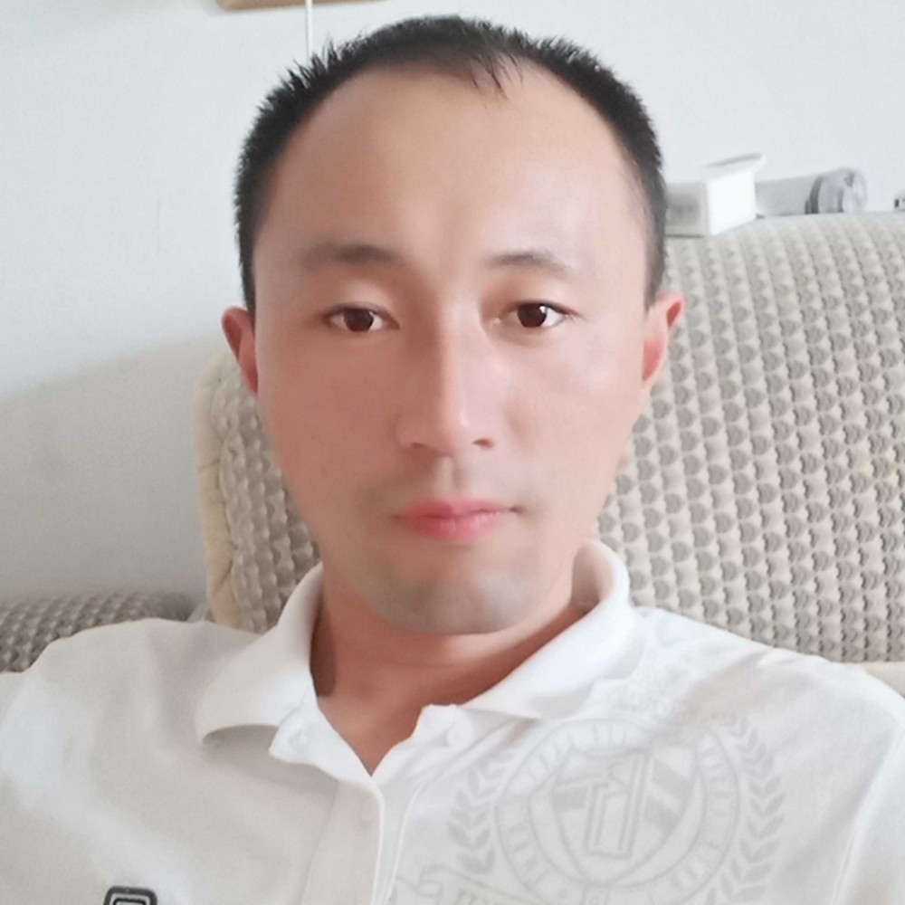 猎鹰王者的照片