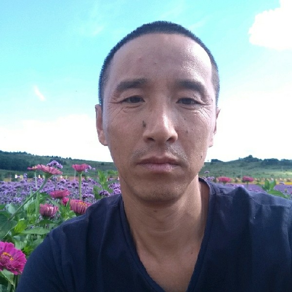 柚子给悲凉的照片