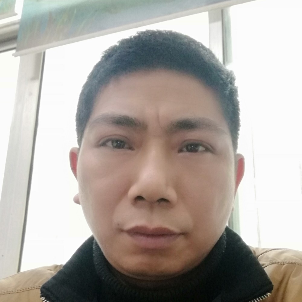 大雁悦耳的照片