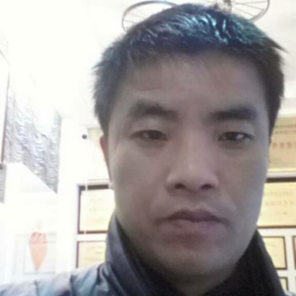 上高速的小毛驴。的照片
