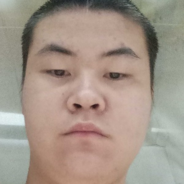 西牛现代的照片