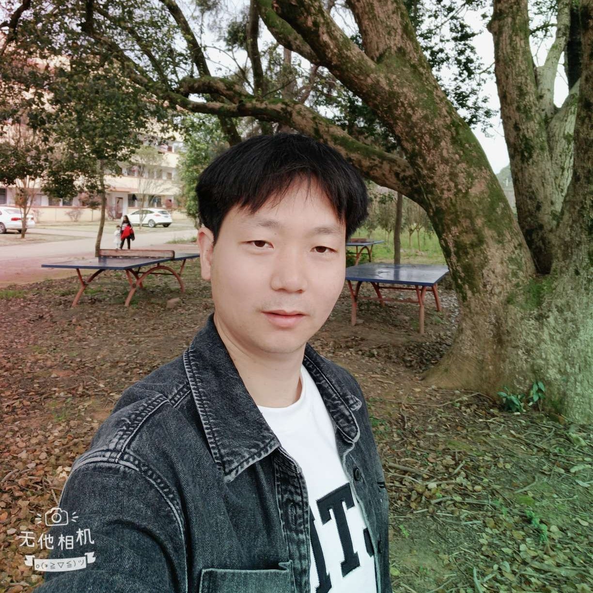 沉静方樱桃的照片
