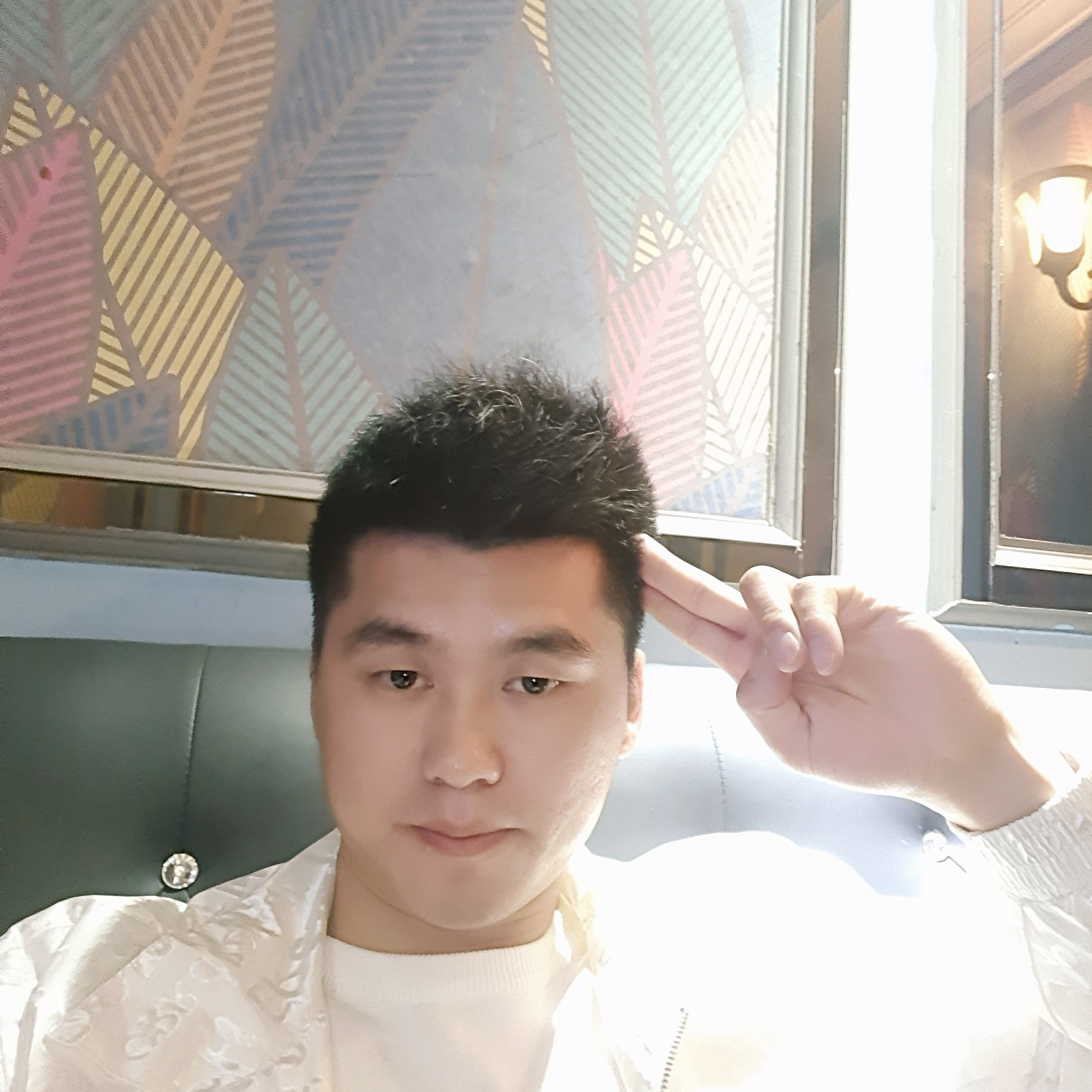 无情还太阳的照片