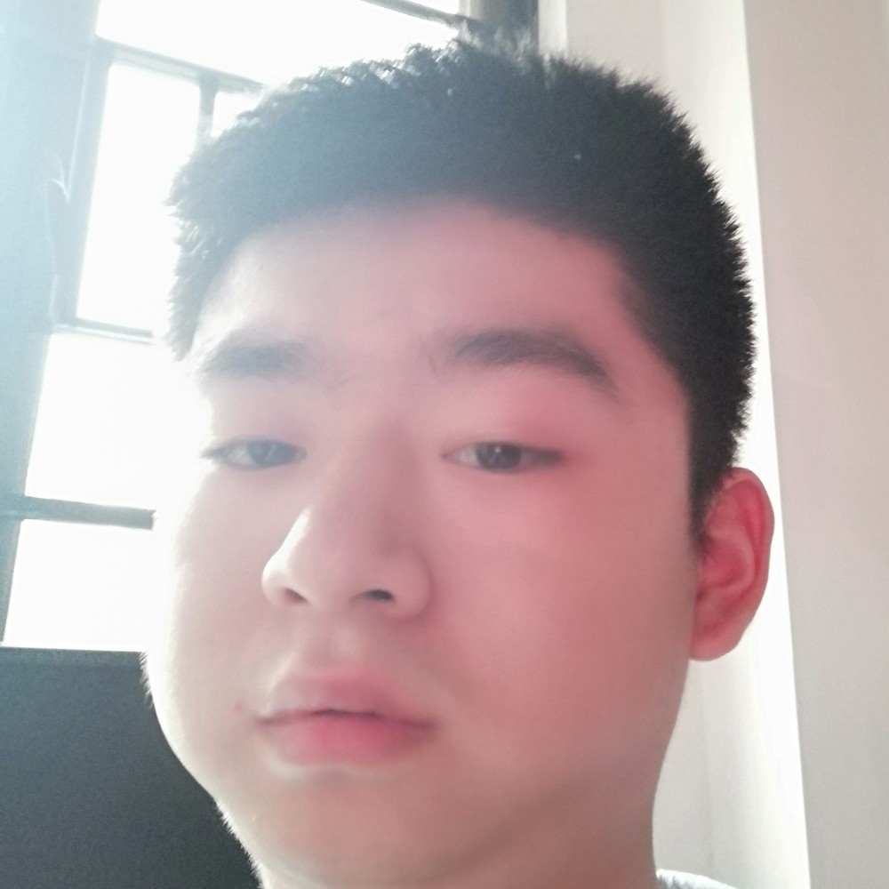 平常有黄蜂的照片