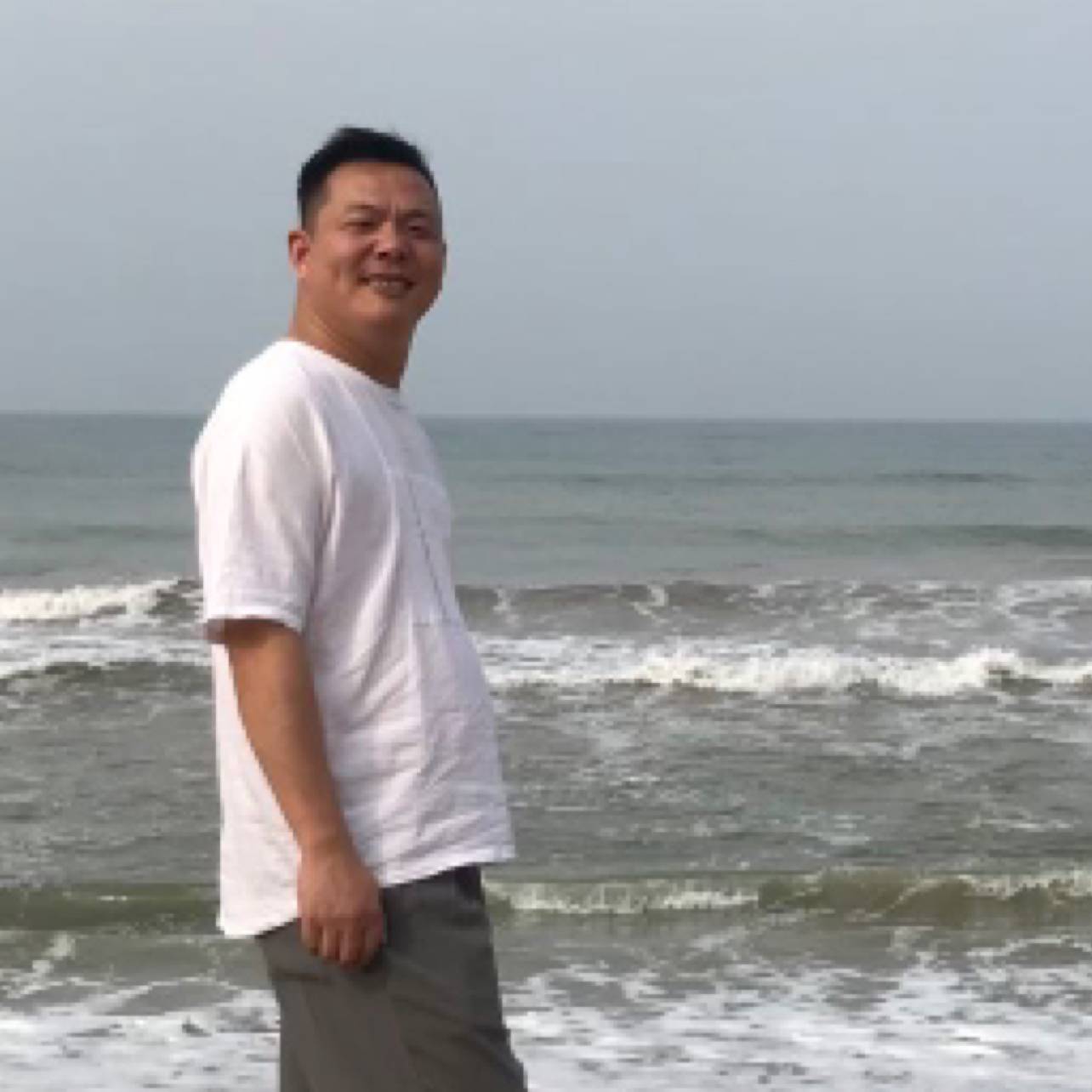 坚强的西红柿的照片