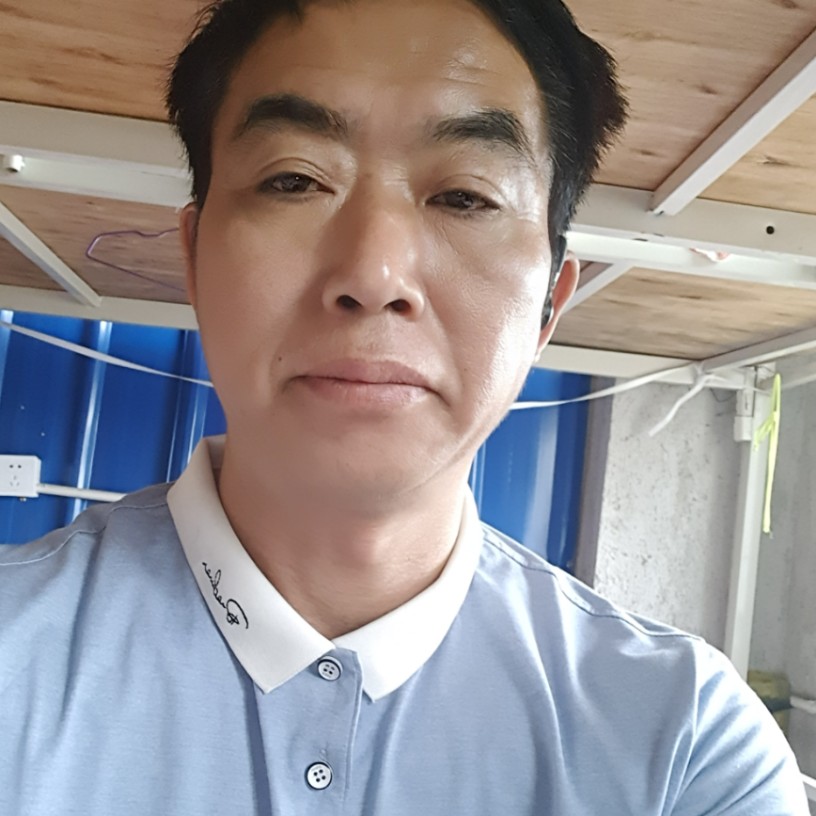 西牛整齐的照片