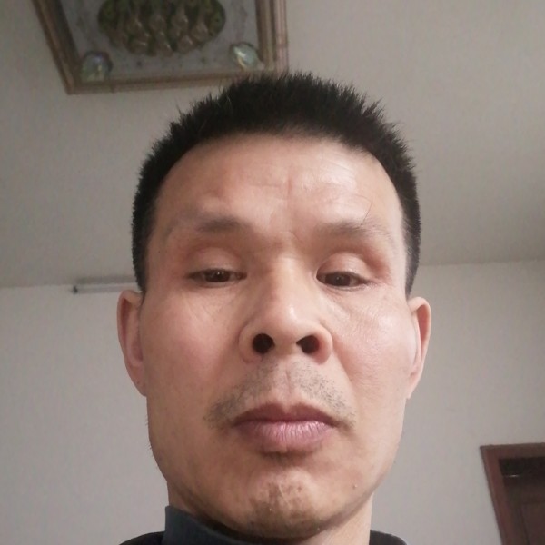 非常好你好的照片