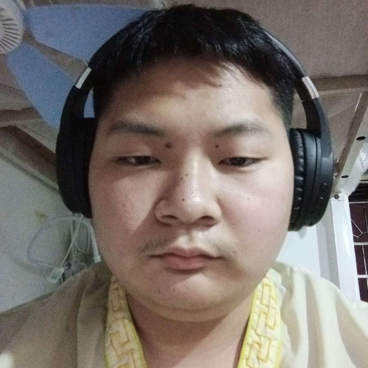 天龙神的照片