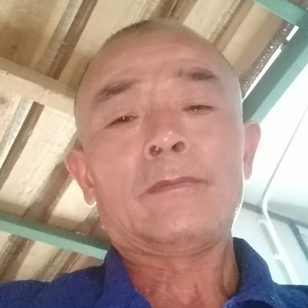 老鼠的沉默的照片