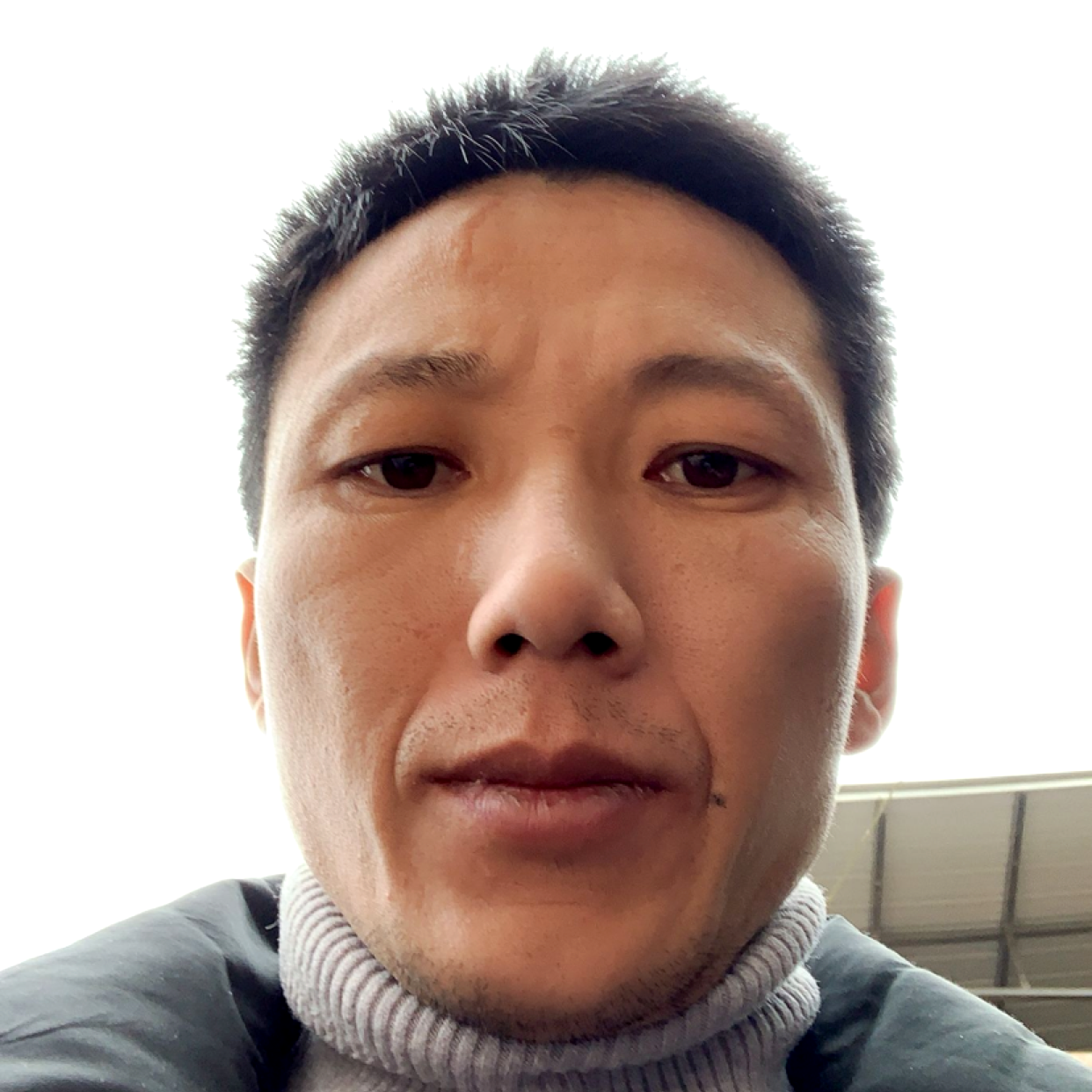 沉静笑碧影的照片