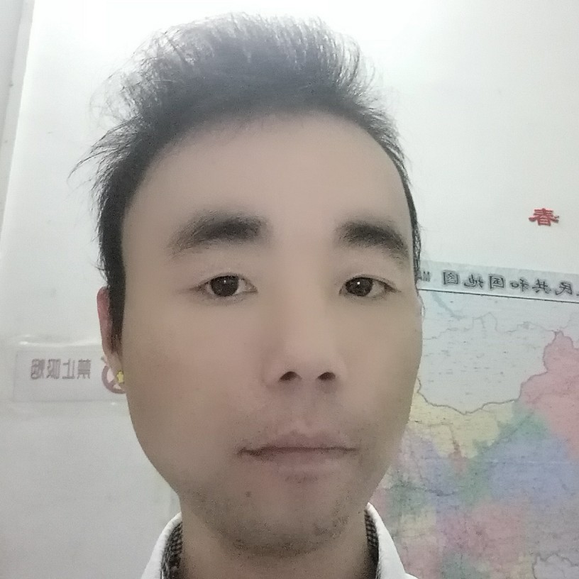 平常的花瓣的照片