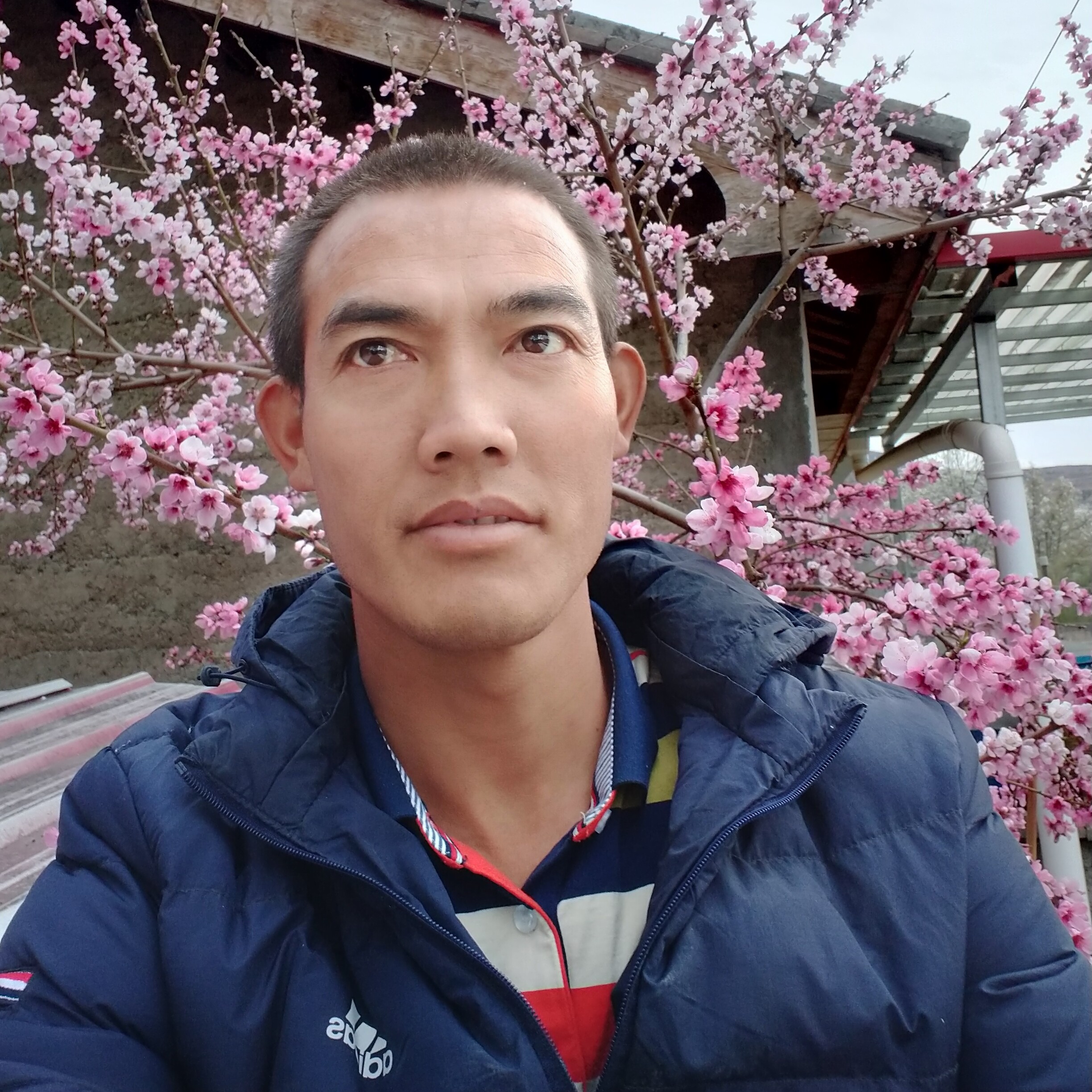 如意挽手香菇的照片