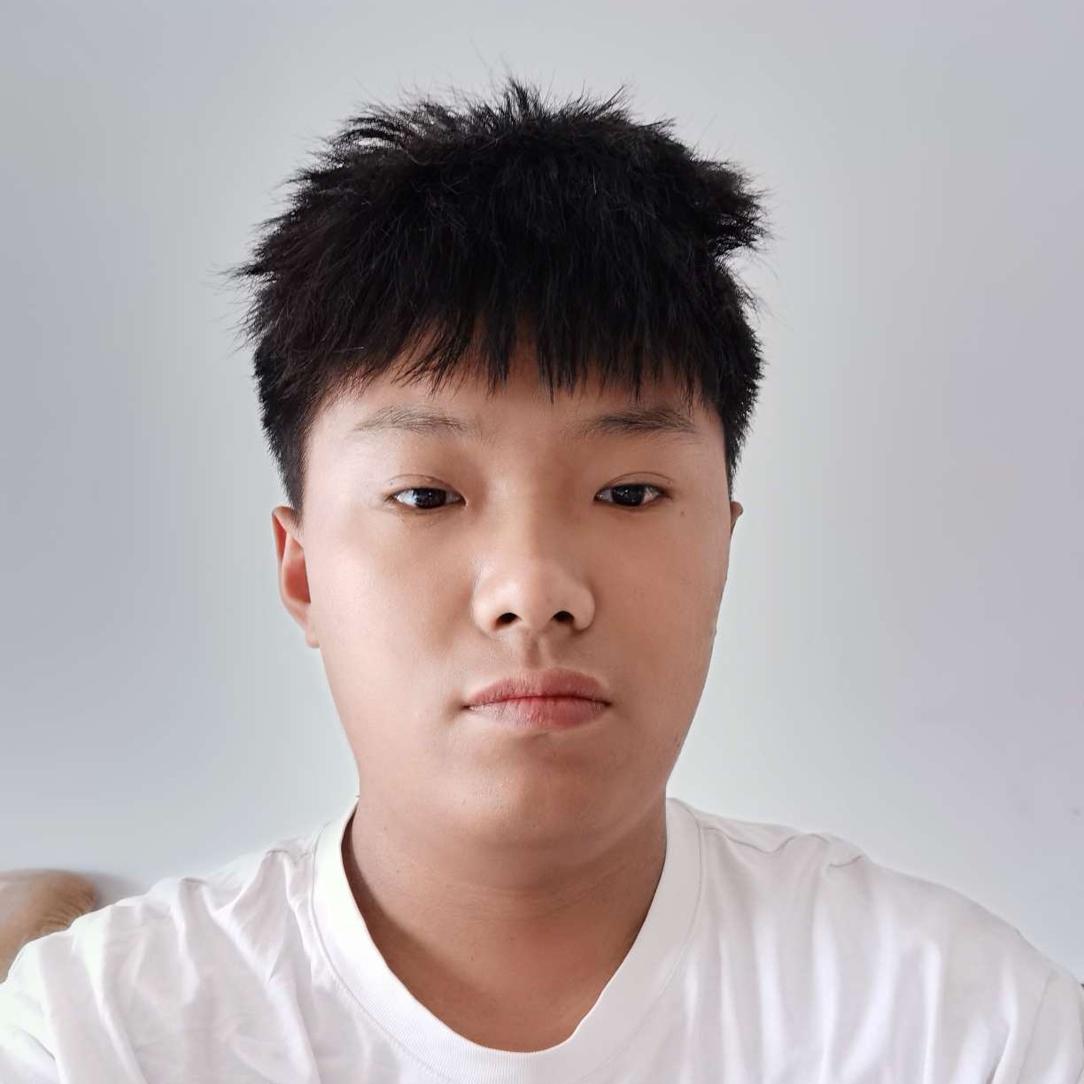 小鸽子改变伶俐的照片