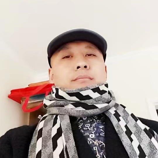 海燕回首笑点低的照片