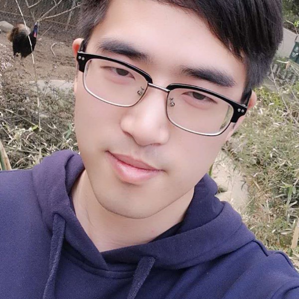 有好奇心的猫的照片