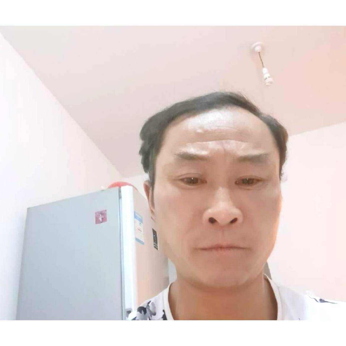 浑浑噩噩的曱甴的照片