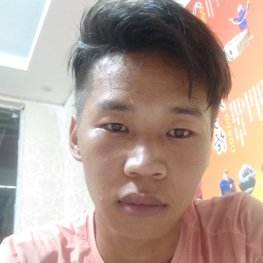 海燕和热情的照片