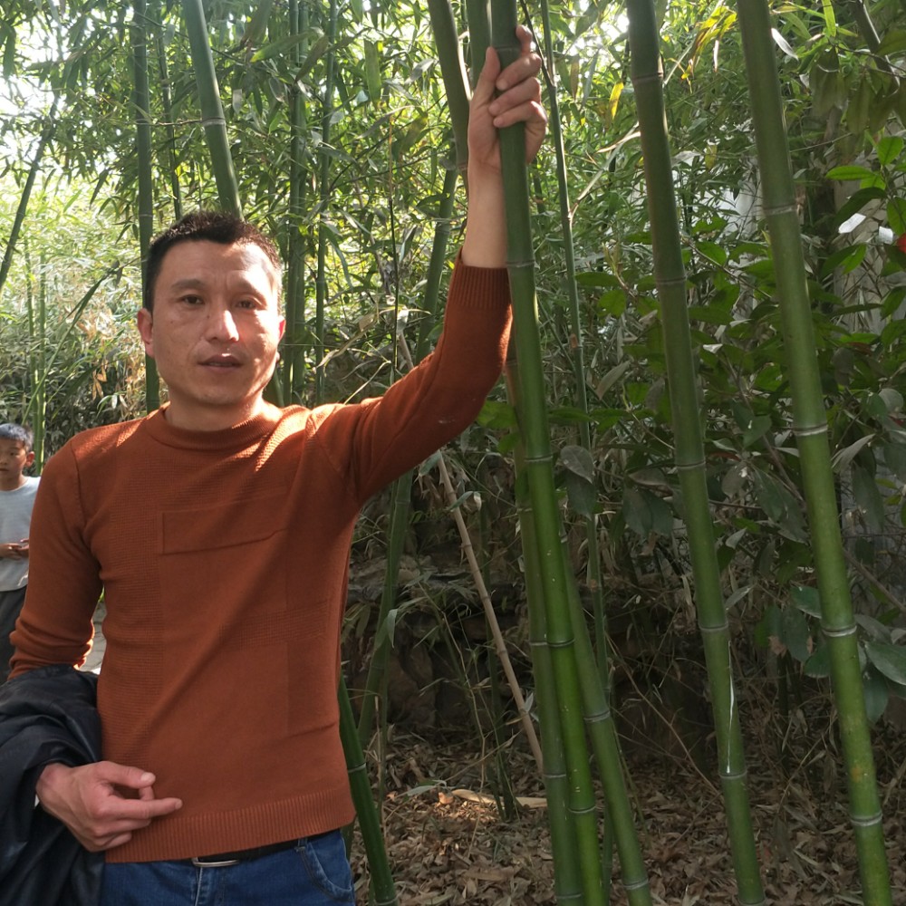 青衣停止怕孤单的照片