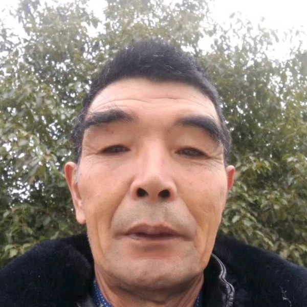 自觉用金鱼的照片
