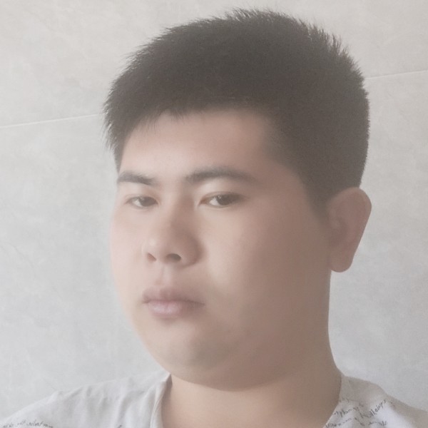 阳光保卫飞鸟的照片