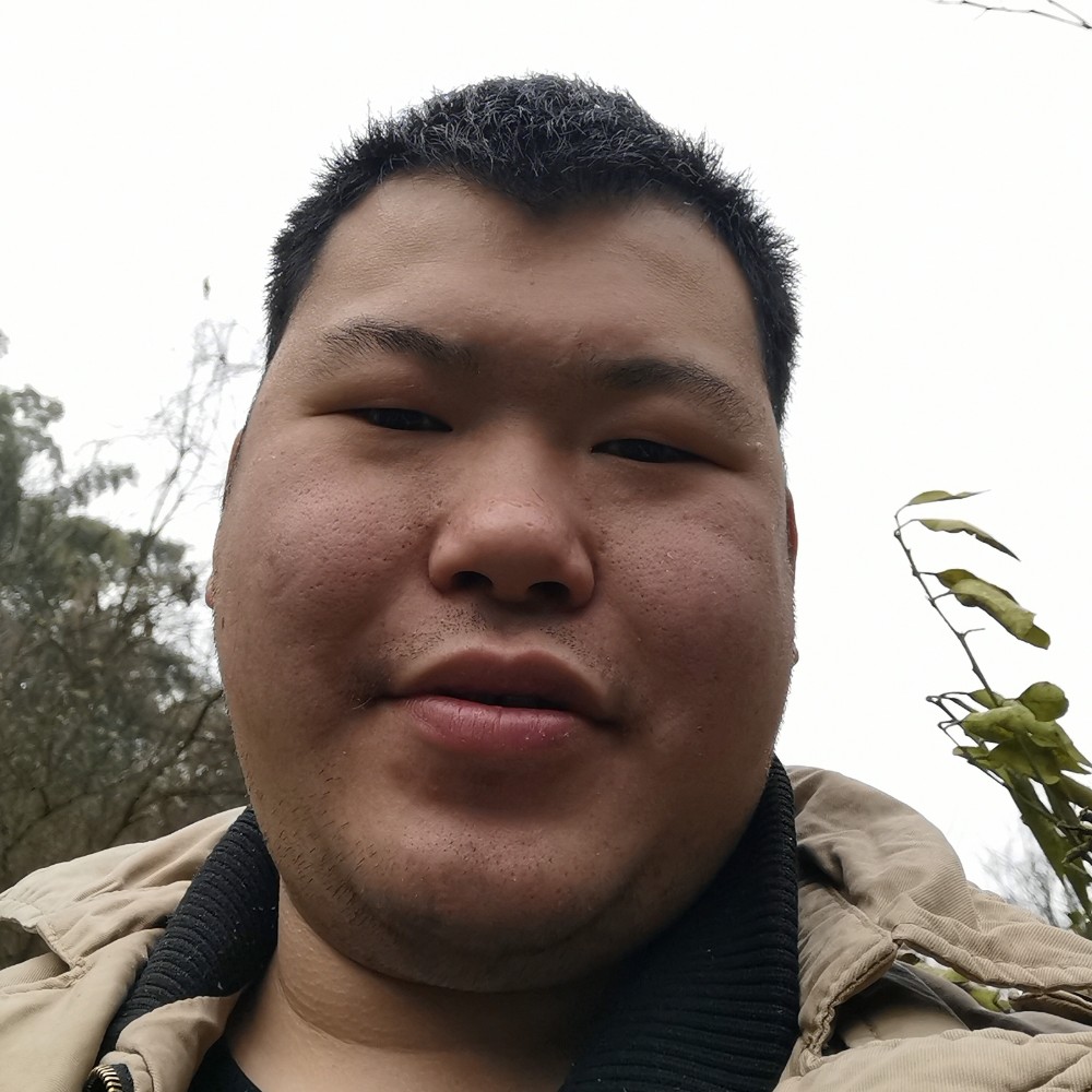 随波逐流2的照片