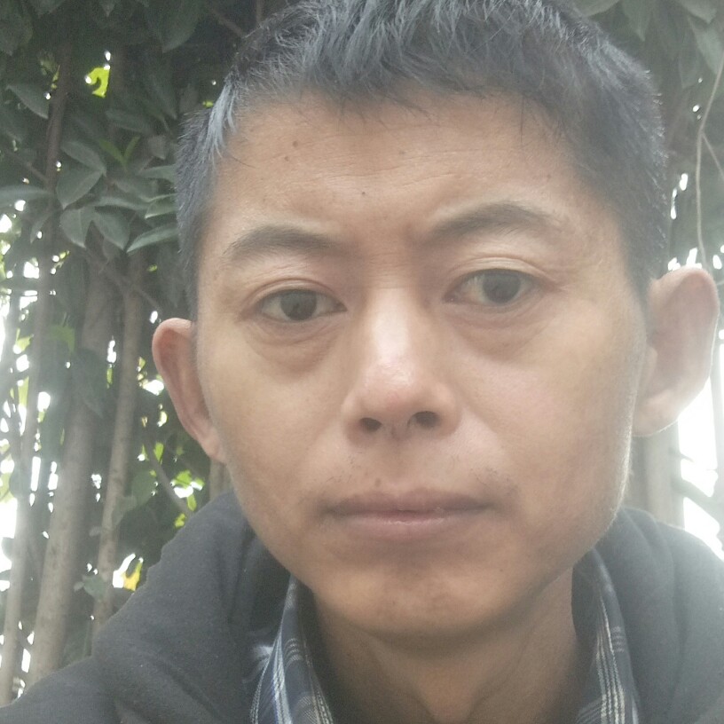 勤劳倾心星星的照片