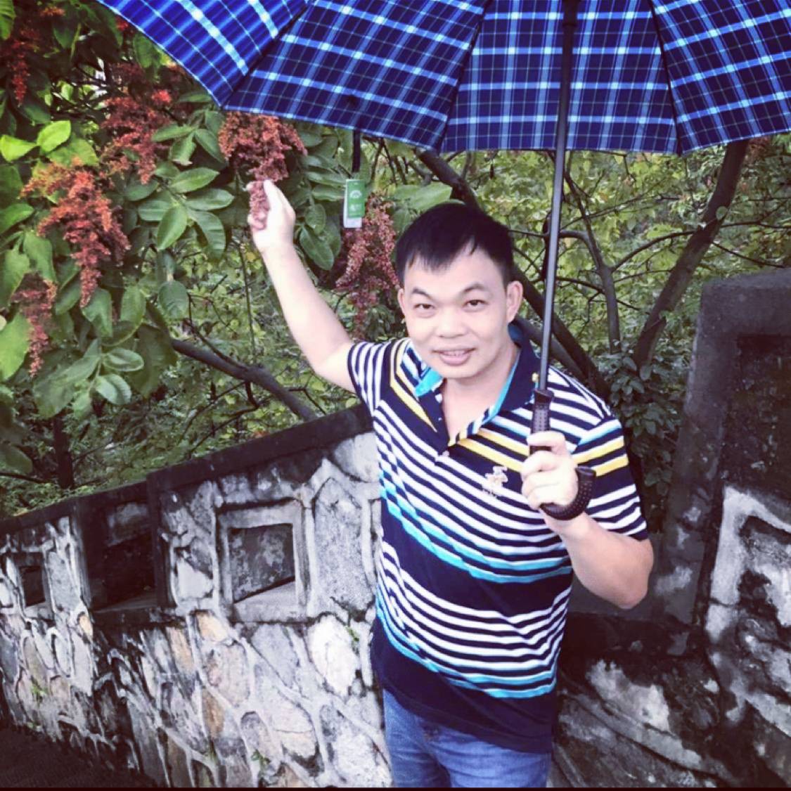 小巧放弃绿草的照片