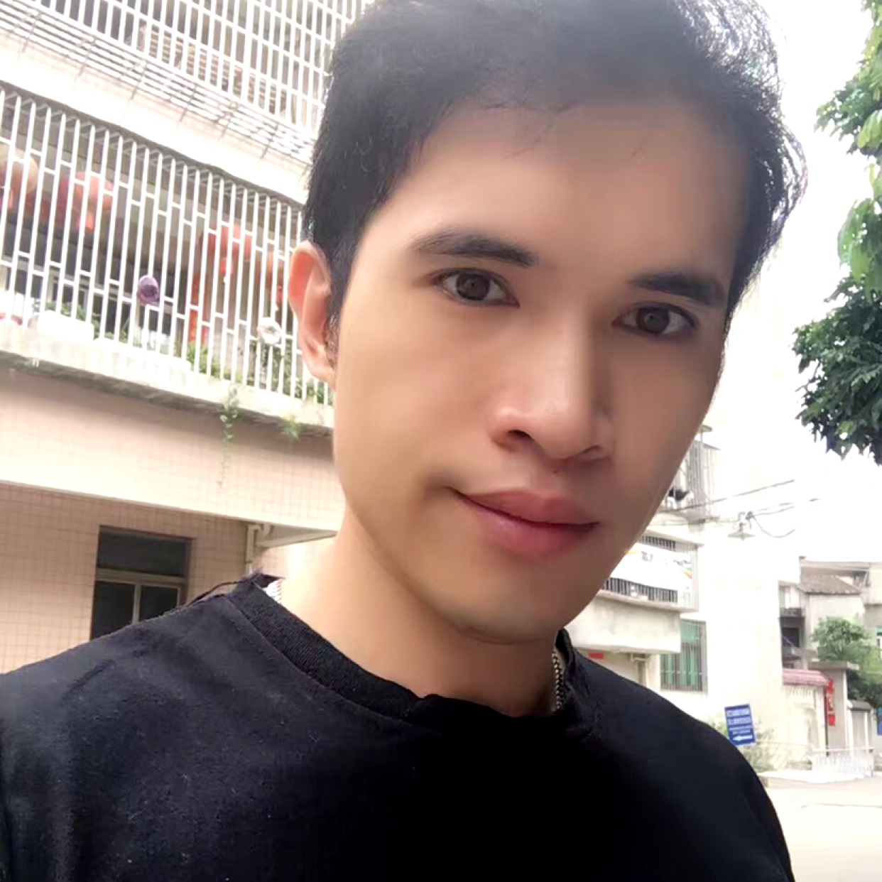 森槿缠绵的照片