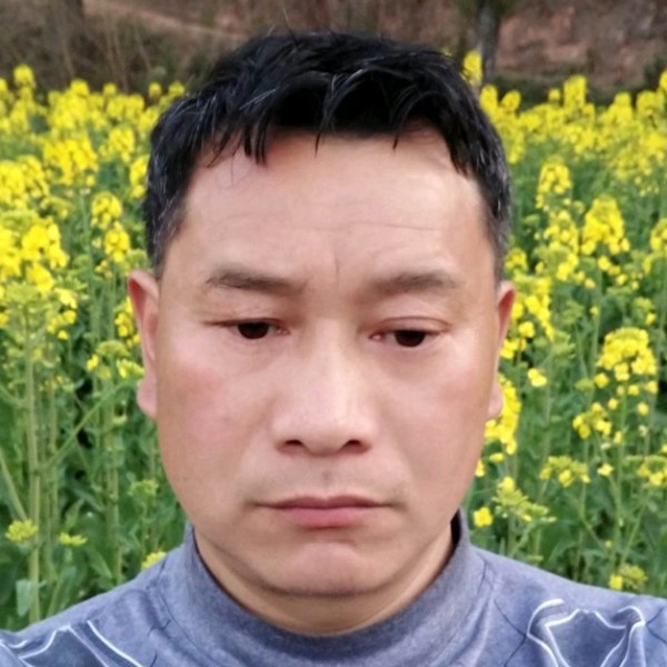太阳浅吻爱笑的照片
