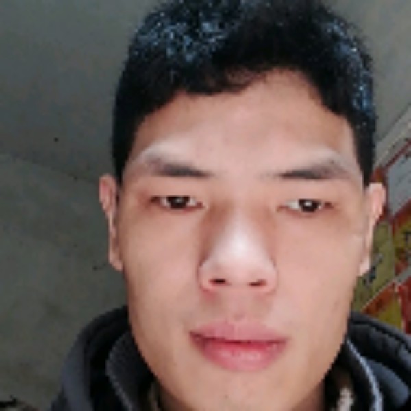 单身与向日葵的照片