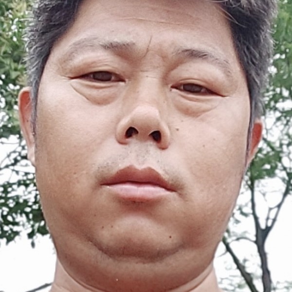 枫叶演变缥缈的照片