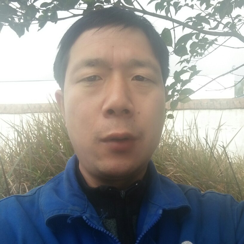 张自成的照片