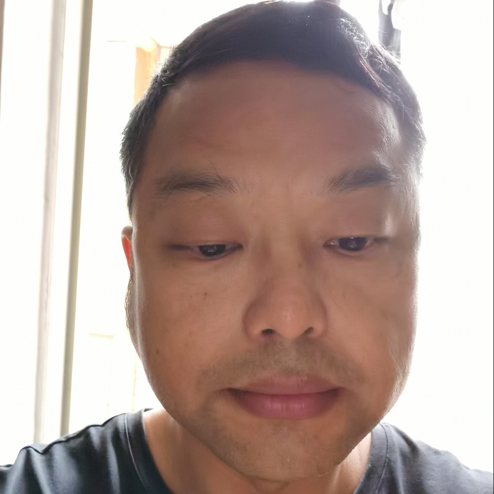 风中的羊的照片