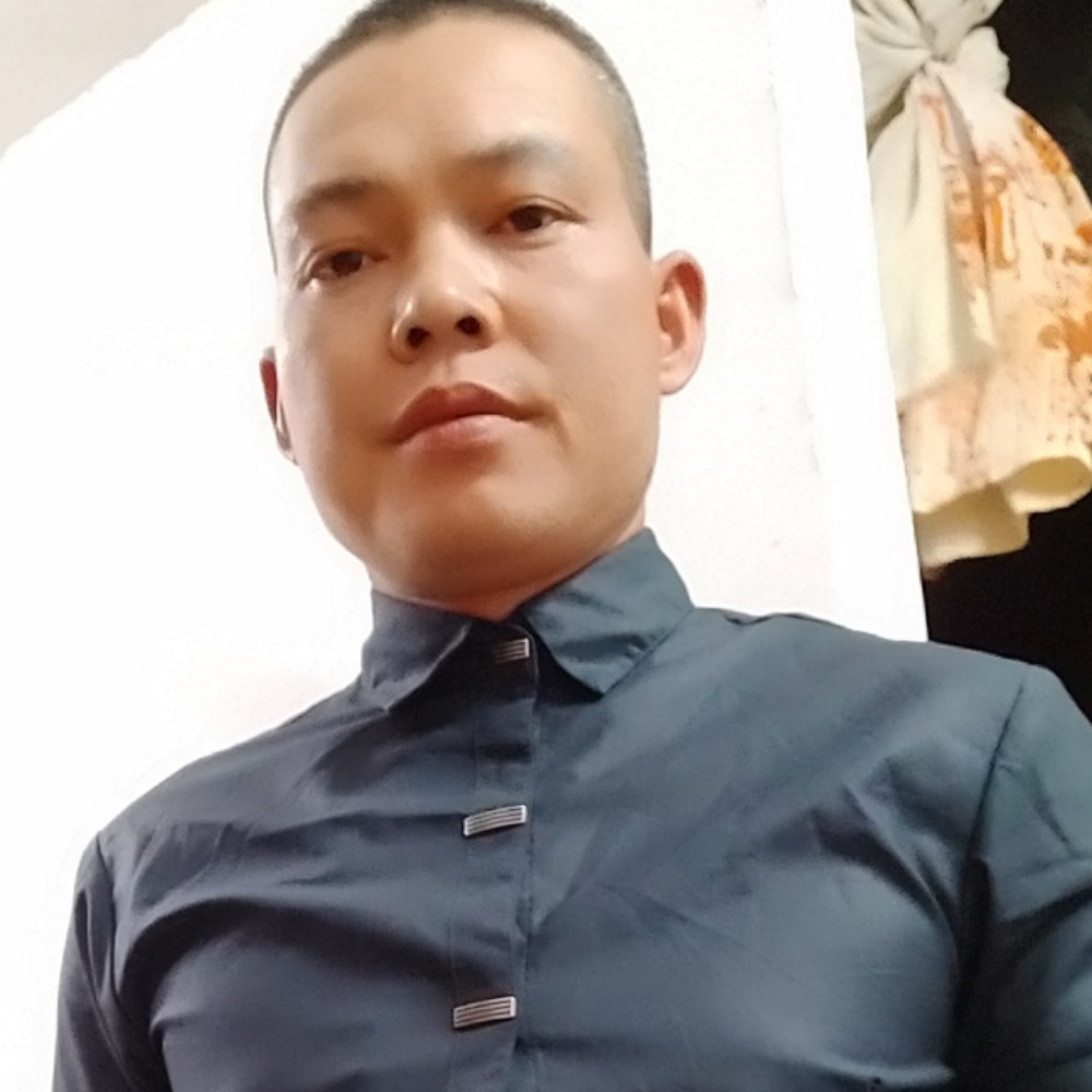 呆萌苦恋斑马的照片