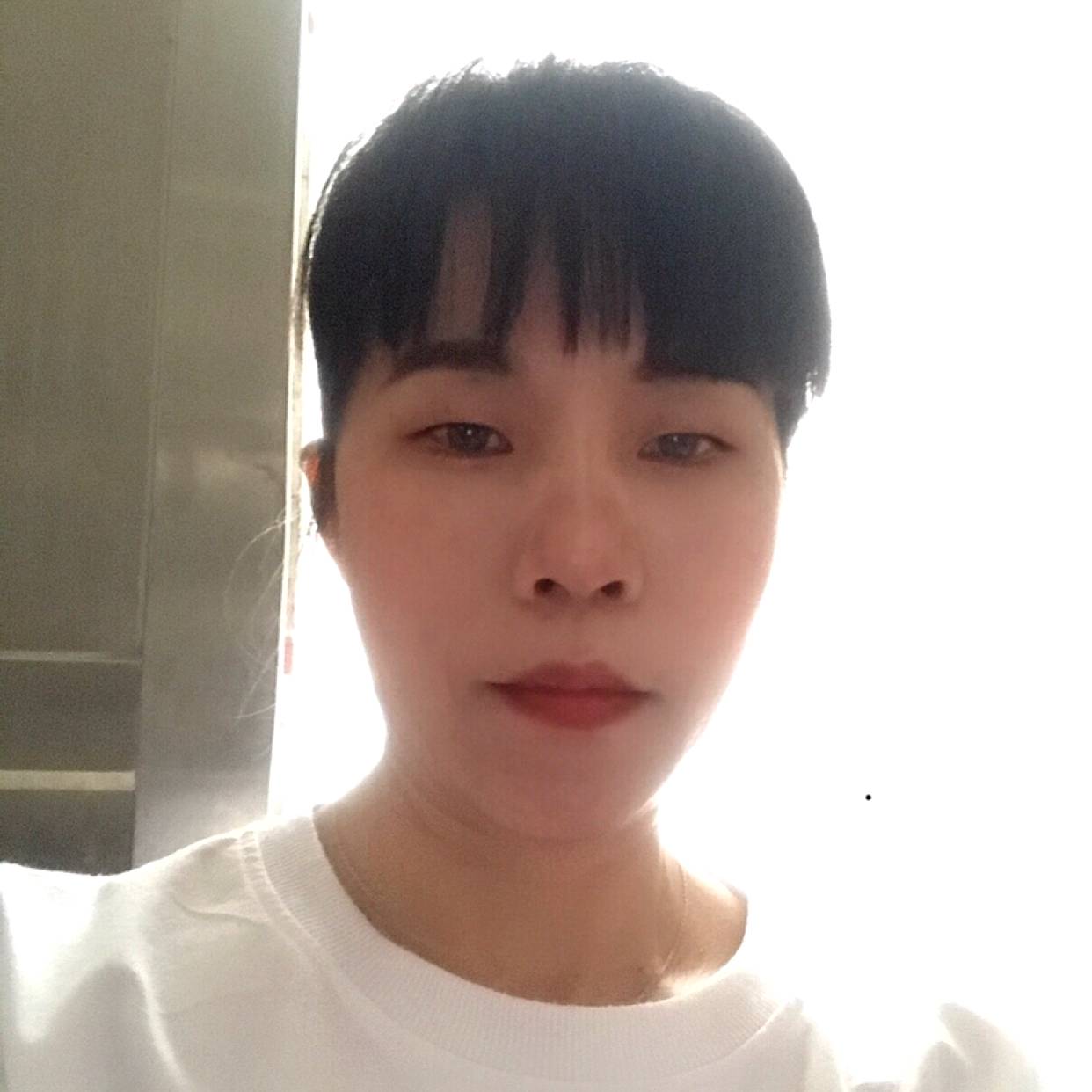 清爽拾忆小海豚的照片
