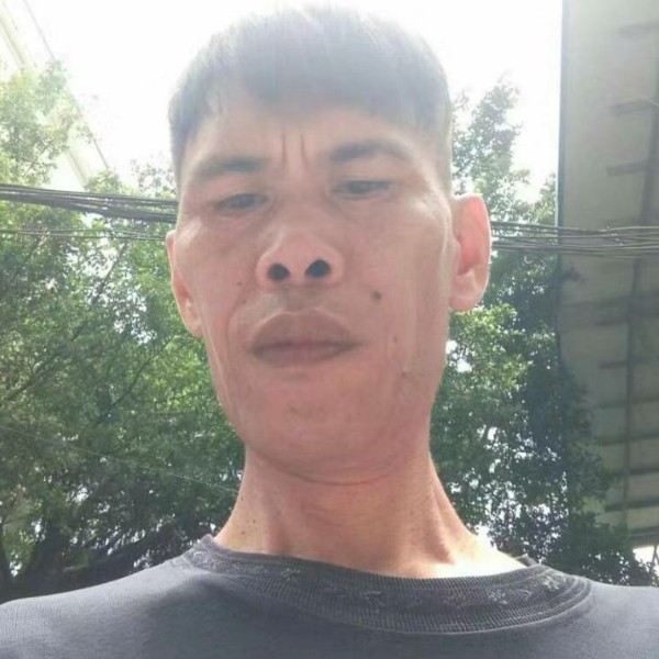 淡淡爱荼蘼的照片