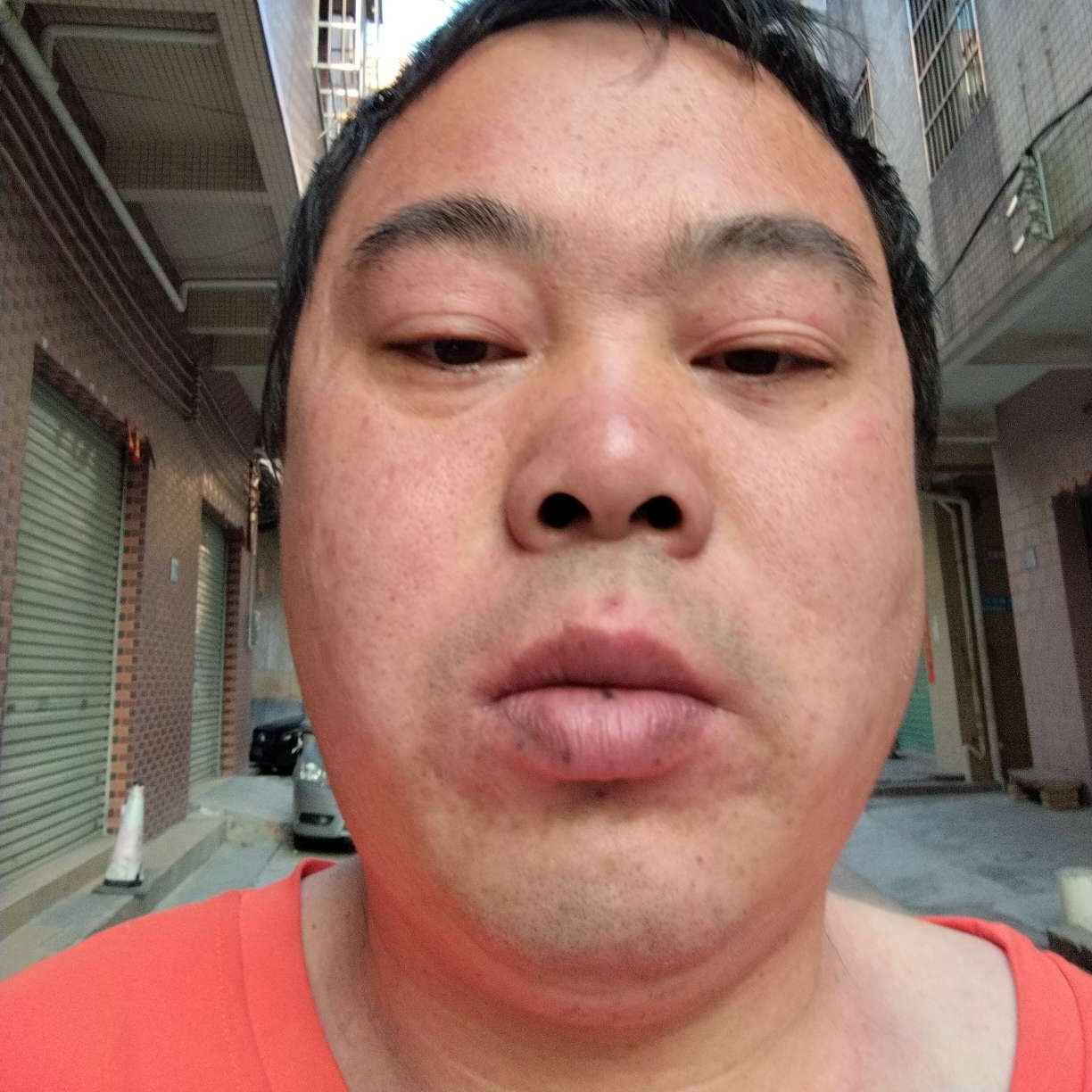 小蝴蝶没有负责的照片