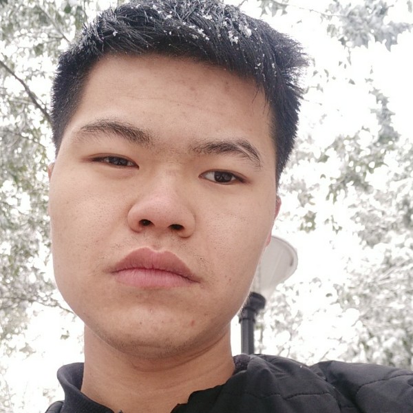 绚烂断夏的照片