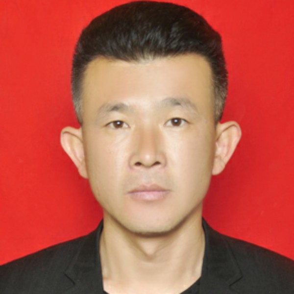 帅呆的斑马的照片