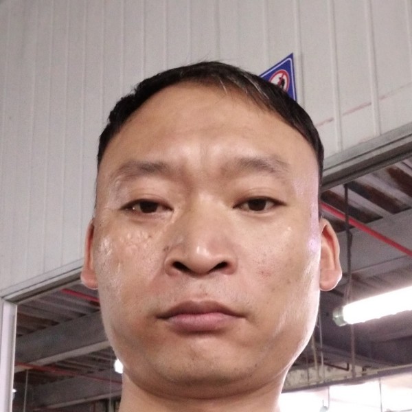 自行车等于零碎的照片