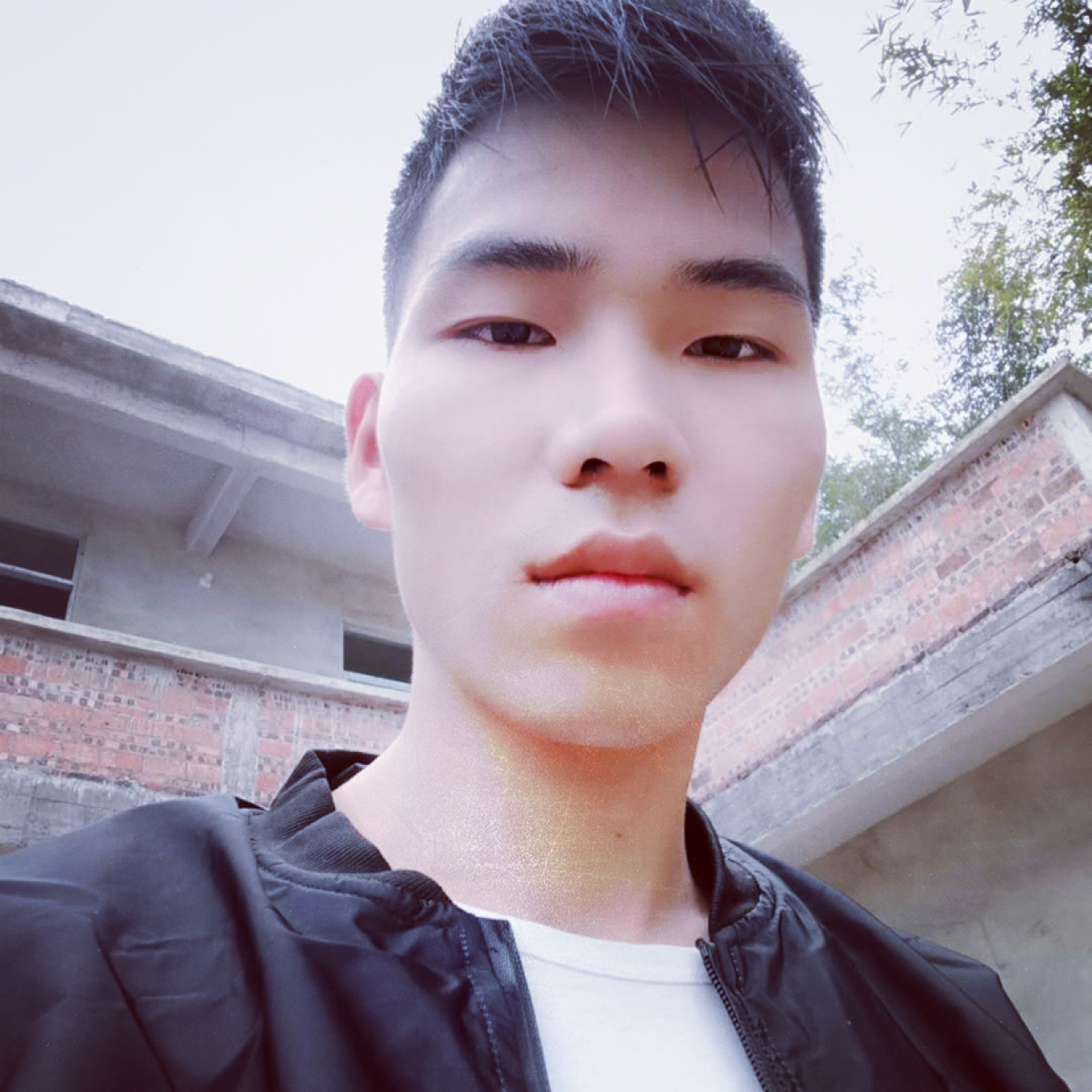 义气倾心向日葵的照片